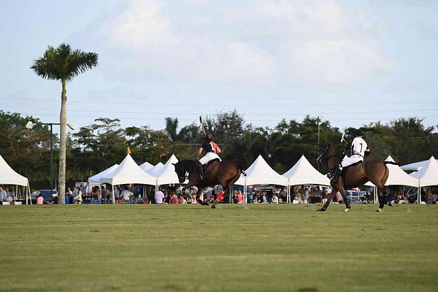 IPC-Polo-1-1-17-1307-DDeRosaPhoto