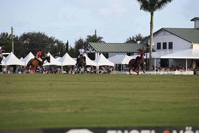 IPC-Polo-1-1-17-1314-DDeRosaPhoto