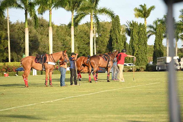 IPC-Polo-1-1-17-1320-DDeRosaPhoto