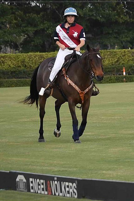 IPC-Polo-1-1-17-1082-DDeRosaPhoto-crop