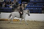 2207-LegacyCup-PonyFinalsAwards-5-17-08-DeRosaPhoto.jpg