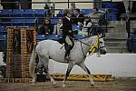 2210-LegacyCup-PonyFinalsAwards-5-17-08-DeRosaPhoto.jpg