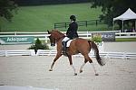 NAJYRC-7-30-11-DR-Freestyle-7493-MonicaHouweling-Stentano-DDeRosaPhoto.JPG