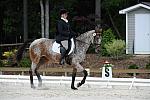 So8ths-5-4-12-Dressage-0829-RisaMoon-LilyB-DDeRosaPhoto