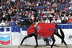 Chevron-WIHS2-10-30-10-8505-DDeRosaPhoto.jpg