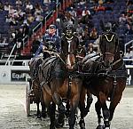 EquiFit-WIHS2-10-30-10-8679-DDeRosaPhoto.jpg