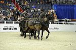 Practical_Horseman-WIHS2-10-28-10-4670-DDeRosaPhoto.jpg