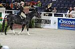 WIHS4-10-31-10-Cl124-LgPnyHtr-0023-OneMoreTime-AnnaRossi-DDeRosaPhoto.JPG