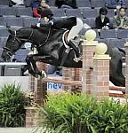 DanielleCooper-WIHS-10-22-09-DSC_4921-Amalfi-SmJrHtr16-17-Hunters-DDeRosaPhoto.jpg