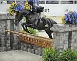 DanielleCooper-WIHS-10-22-09-DSC_5022-Amalfi-SmJrHtr16-17-Hunters-DDeRosaPhoto.JPG