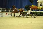 10-24-08-WIHS-605-DeRosaPhoto.jpg