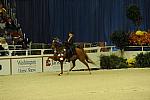 10-24-08-WIHS-612-DeRosaPhoto.jpg