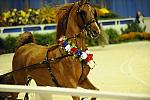 10-24-08-WIHS-621-DeRosaPhoto.jpg