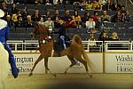 10-24-08-WIHS-626-DeRosaPhoto.jpg