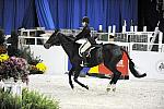 WIHS-10-20-09-DSC_0864-Lexington-SiennaSumavielle-DDeRosaPhoto.jpg